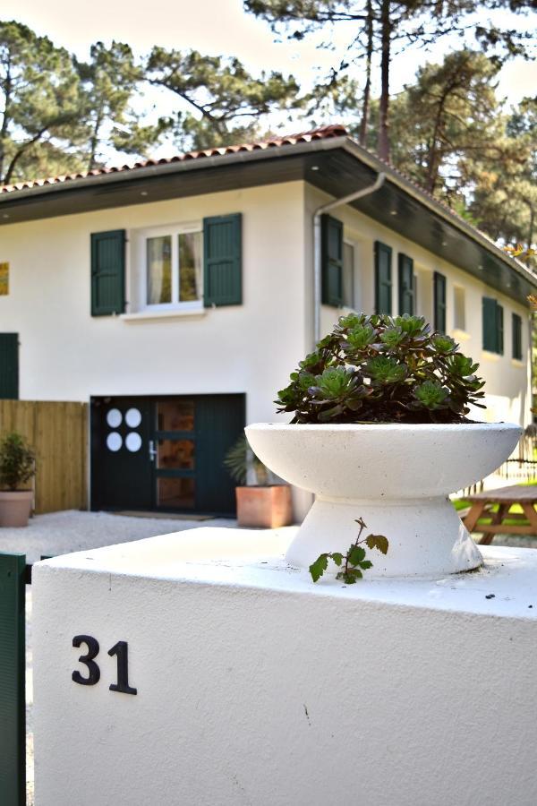 Julia Blue, Villa Hostal Naou Hossegor - Sauna - Salle De Sport - Wifi - Netflix Soorts-Hossegor Exterior foto